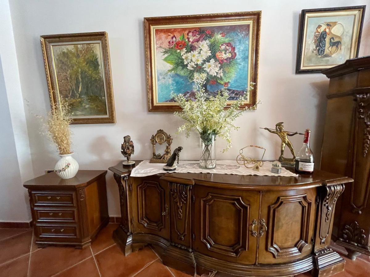 Apartament Venus - Cozy With Terrace Wlora