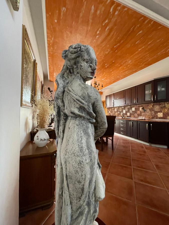 Venus - Cozy With Terrace Apartament *